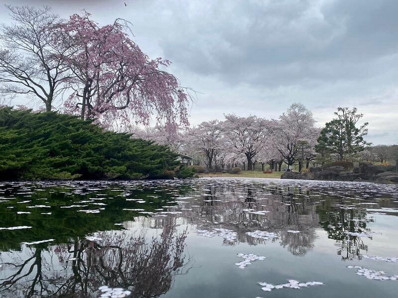 🏞️ 나카가와 강변 공원 (나카가와카한코엔) 이미지 1